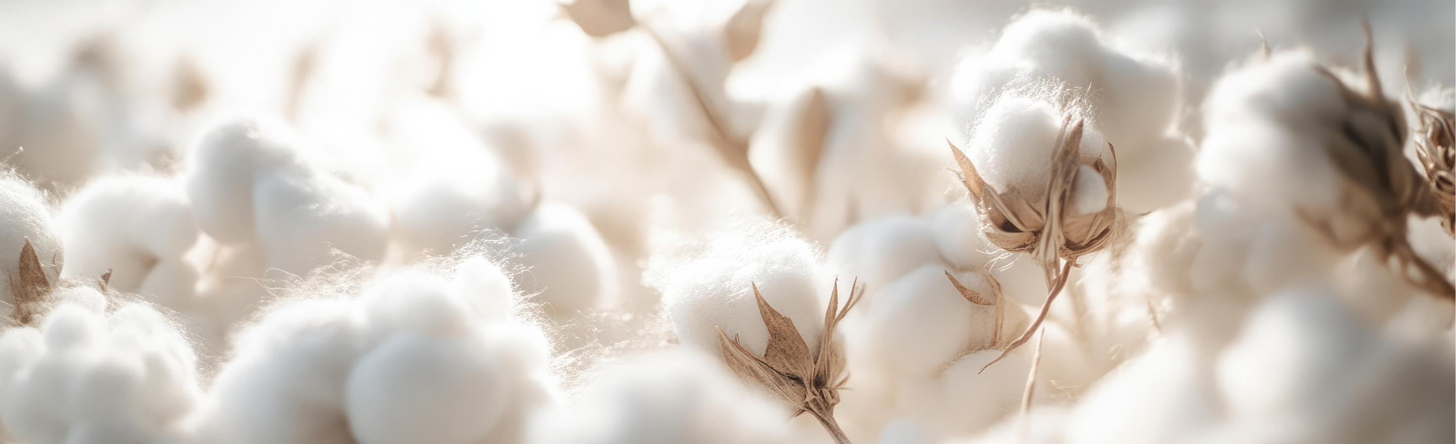 Brand Story Background